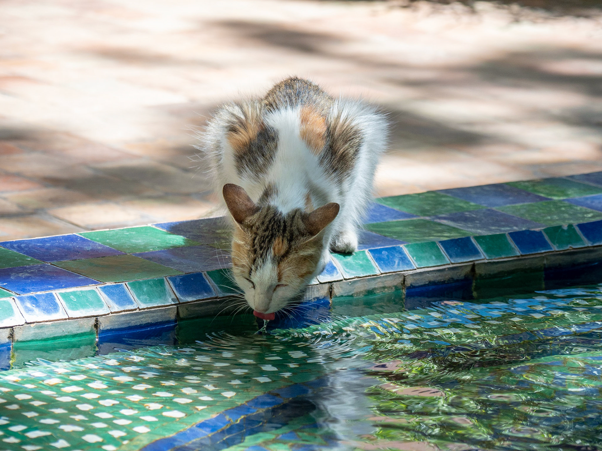 Marrakech, Morocco