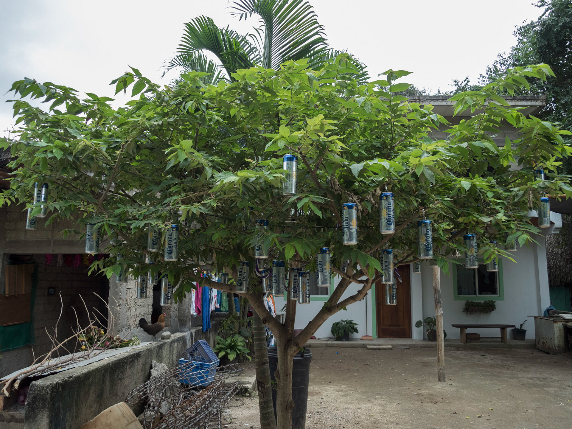 Sayulita, Mexico
