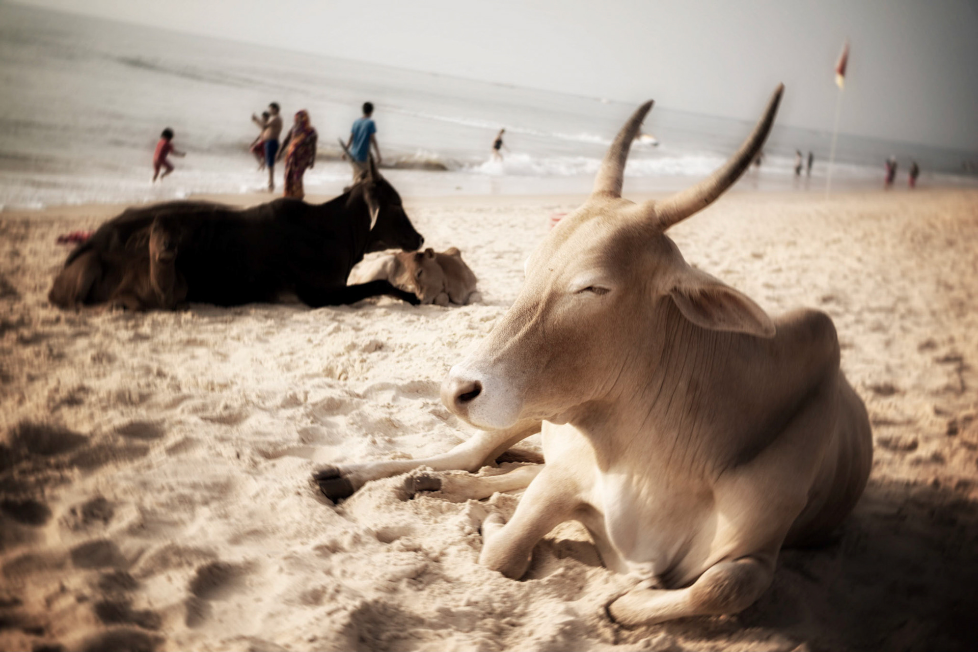 Goa, India