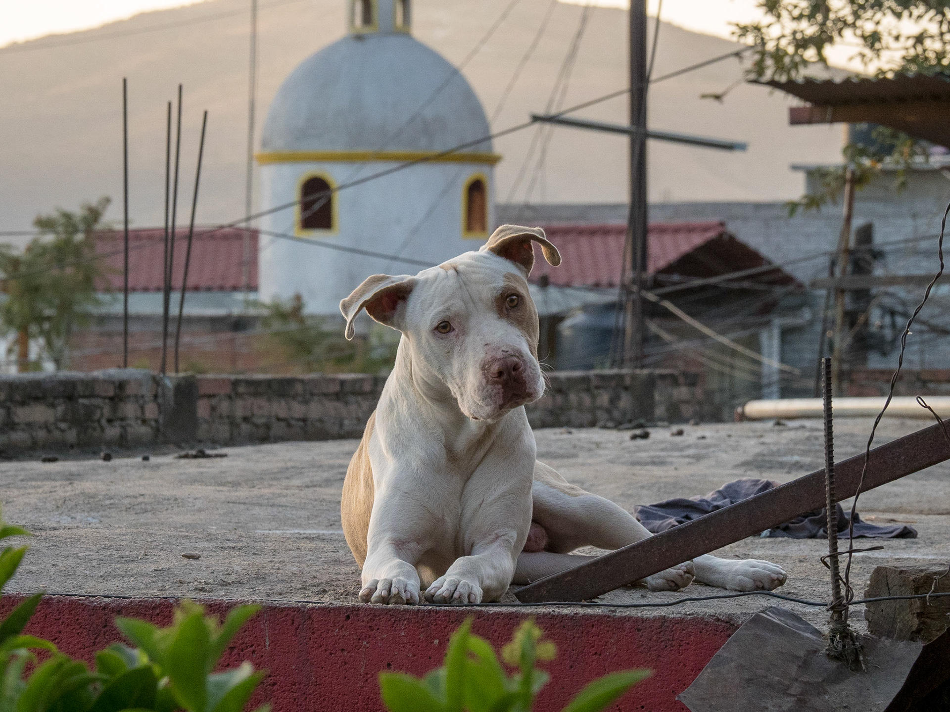 Oaxaca, Mexico