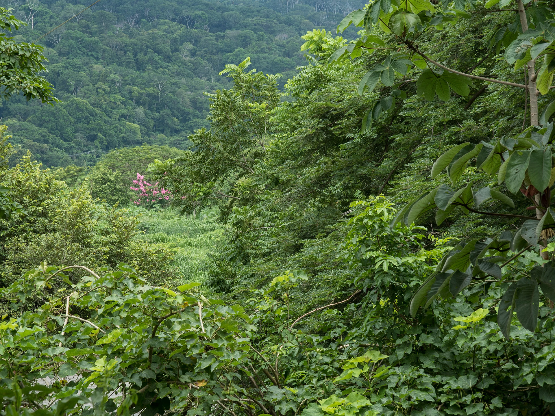 Costa Rica