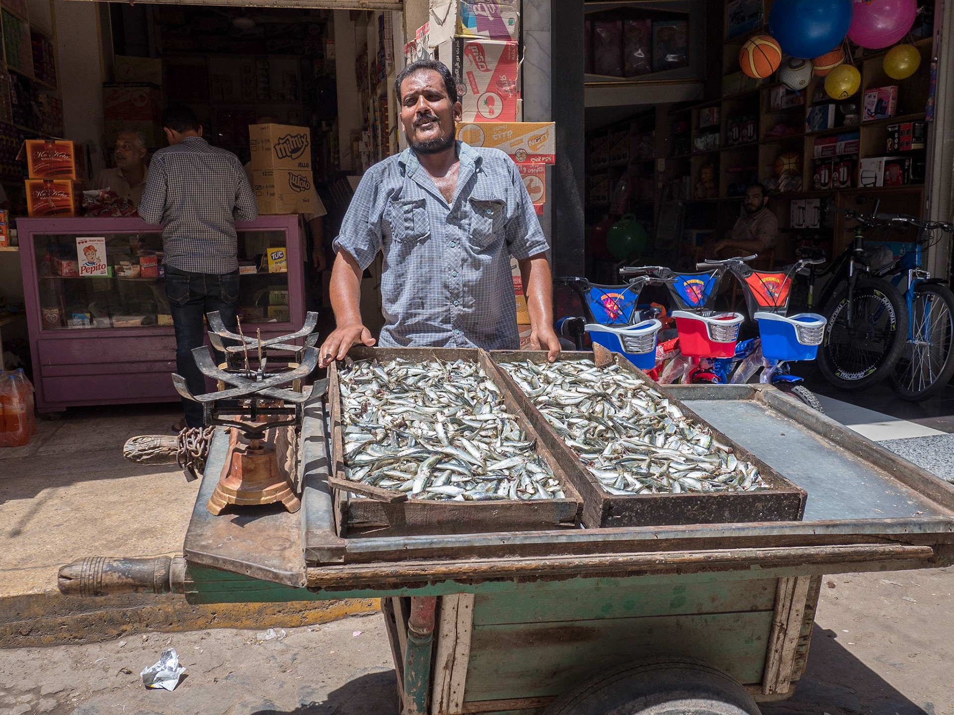 Rashid, Egypt