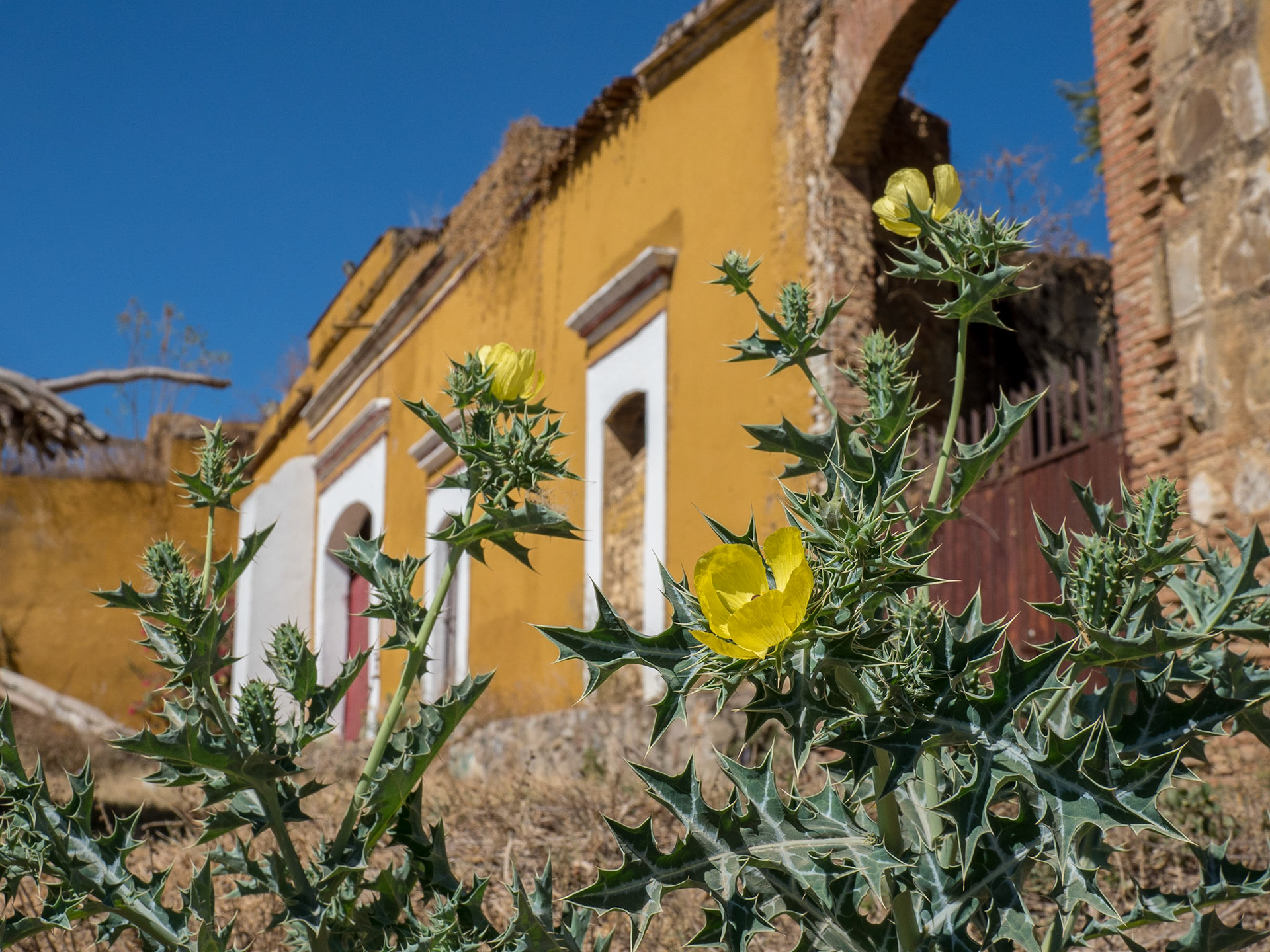 Oaxaca, Mexico