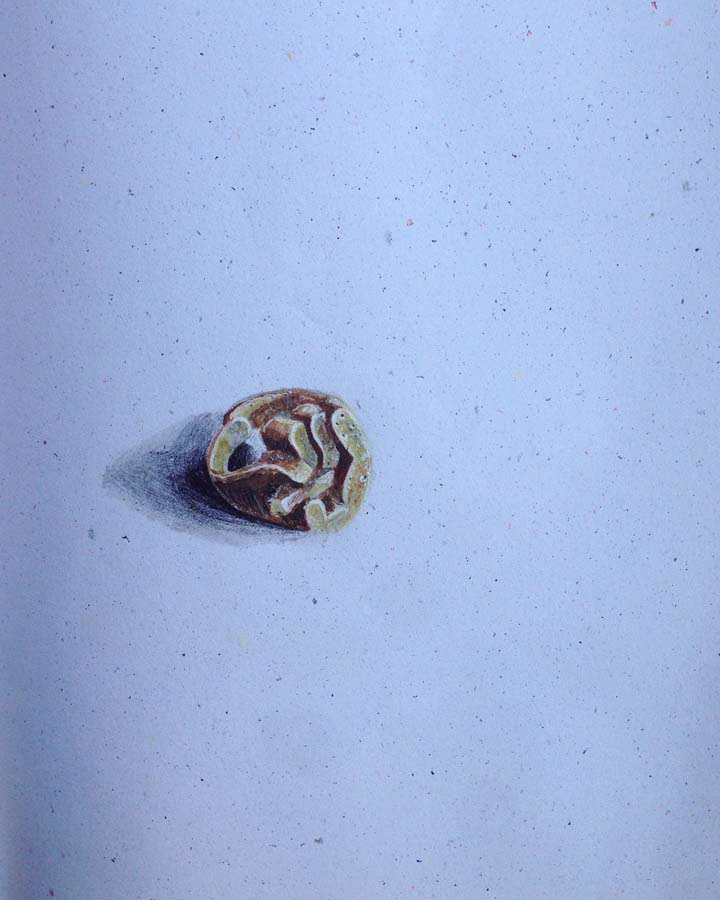 draw orgy ring. 16.06.2016.