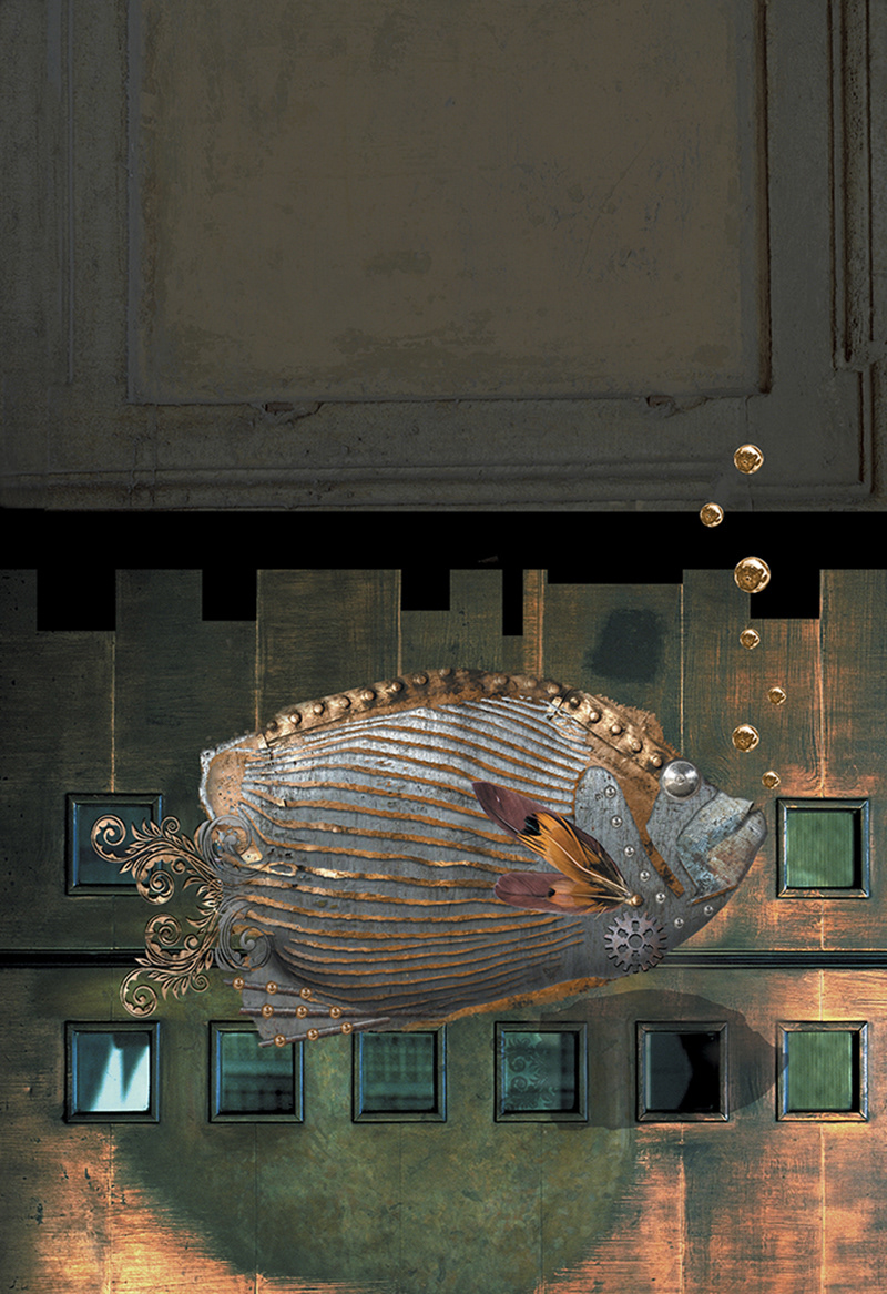 Poison volant / Flying fish