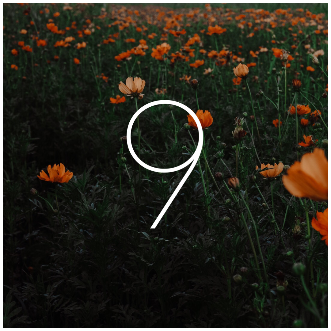 September 2019