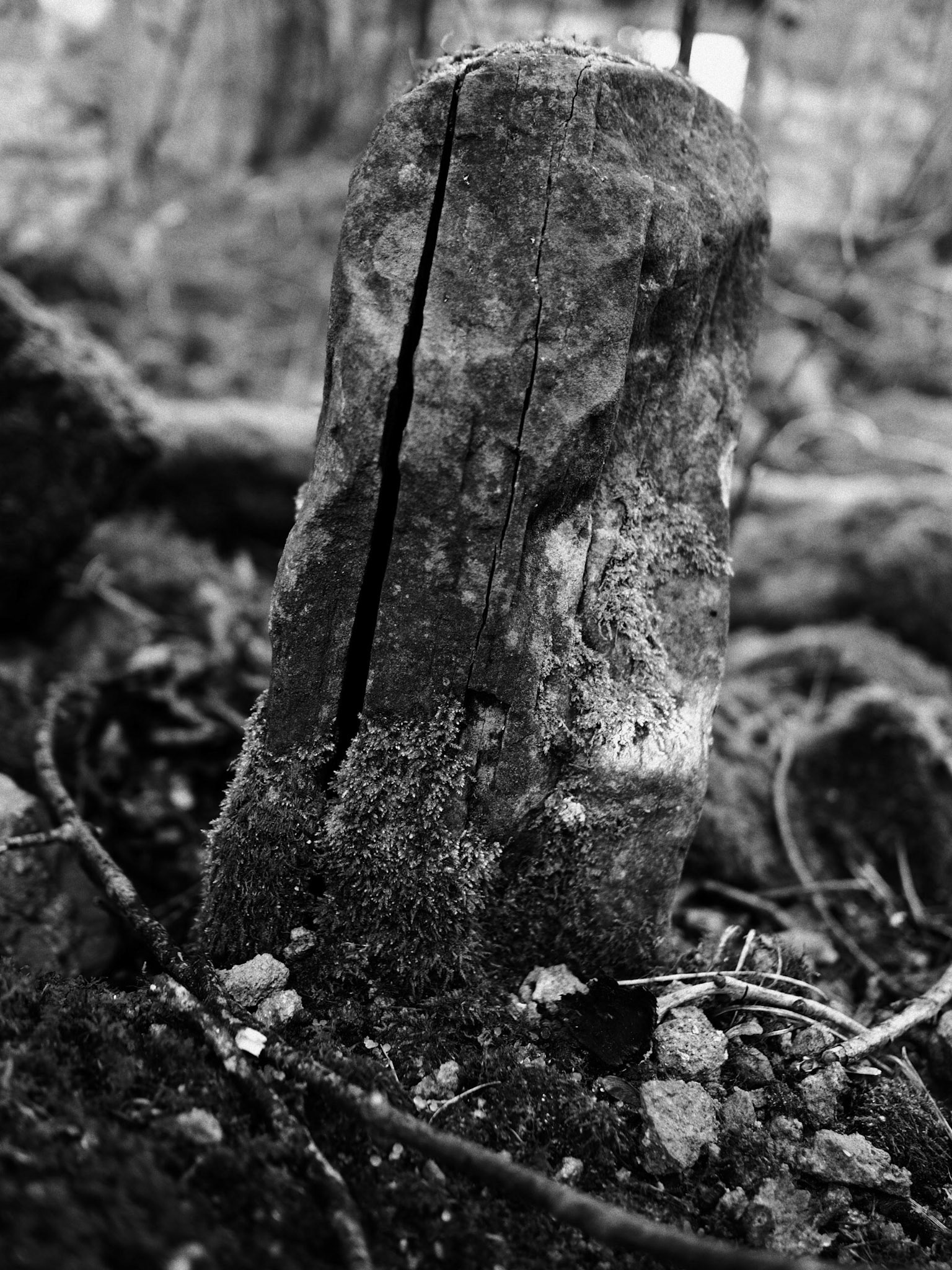 Allanton - Dura Kirk - Ruin