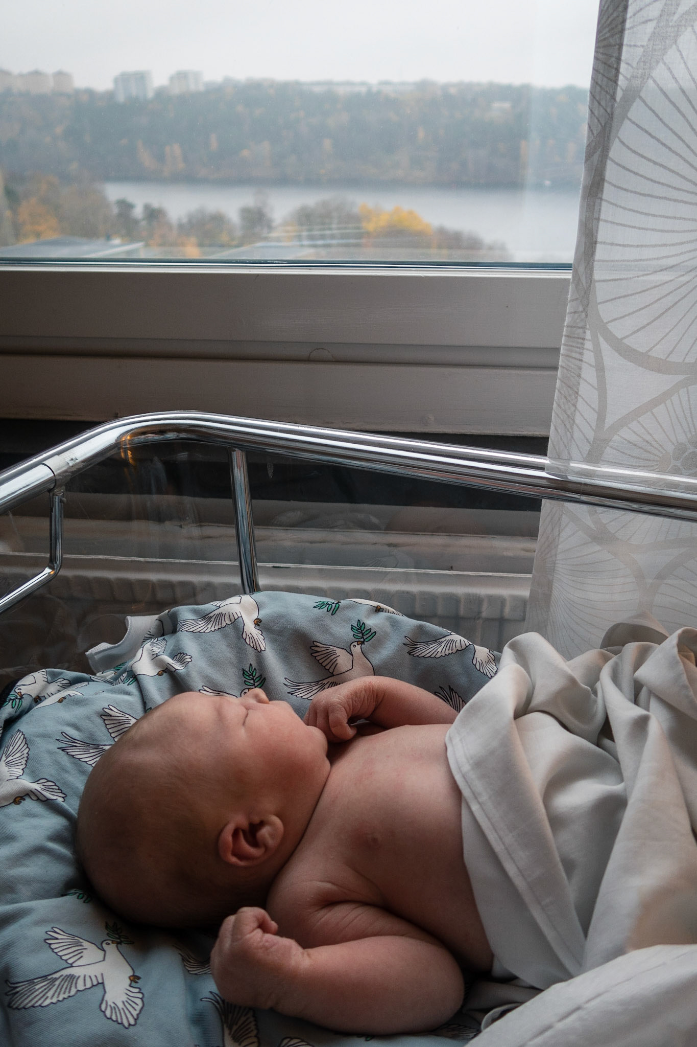 Waking up to a new world