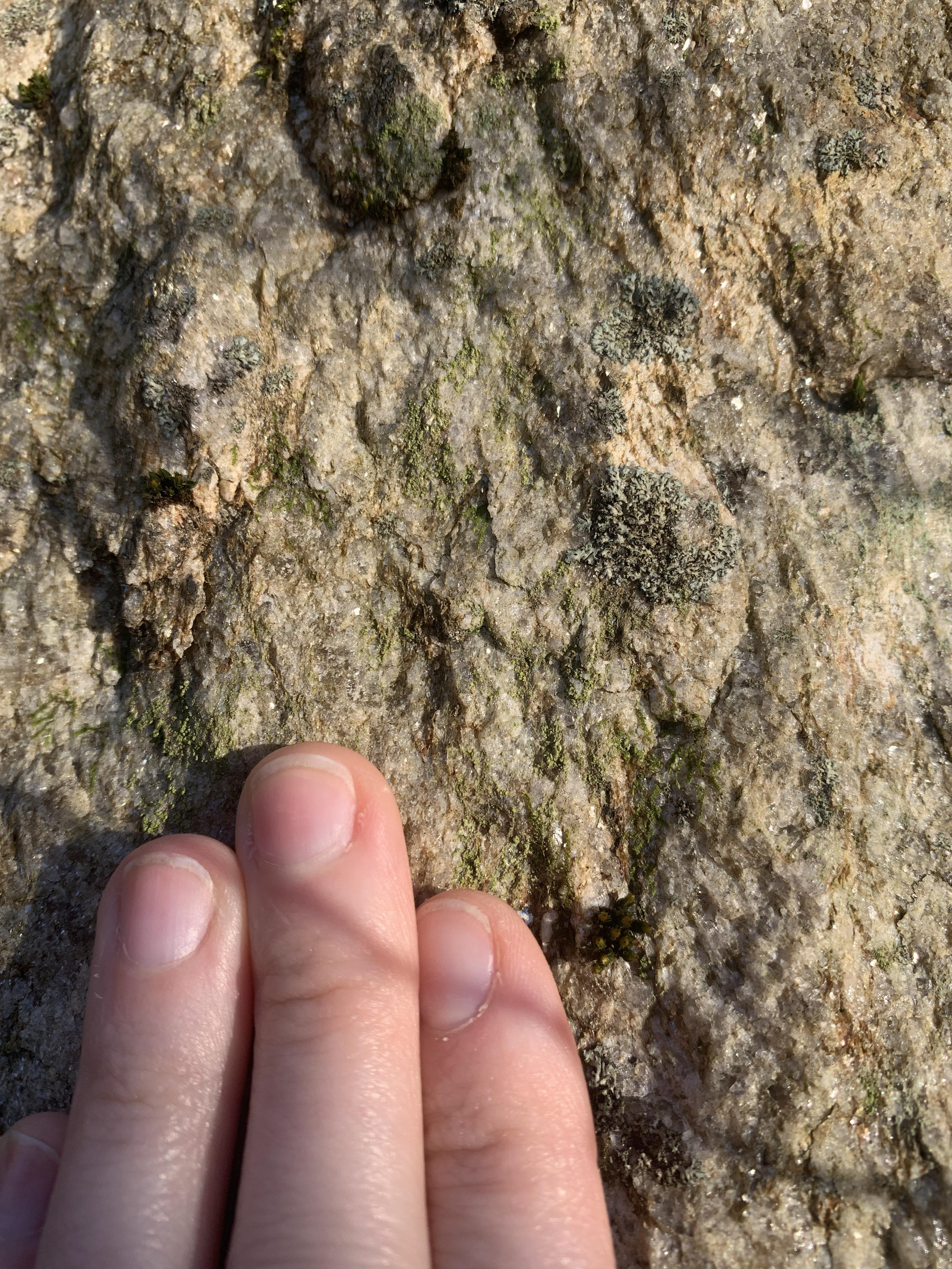 Fingers pointing to close up of light grains. They are slightly larger than sand-sized, off-white to white colored. Some light micaceous minerals can be seen interspersed throughout the other minerals.