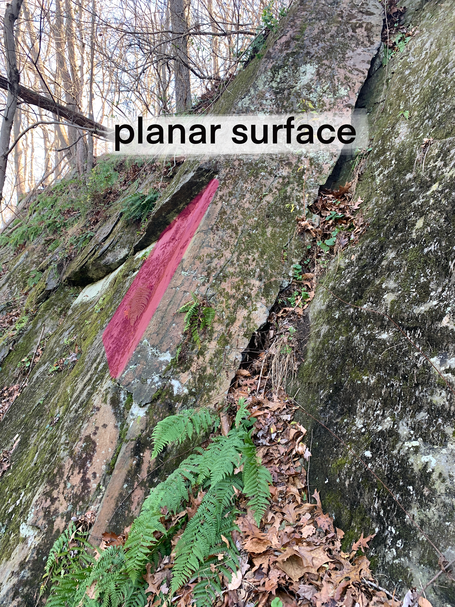 Image of outcrop with layers dipping sub-vertically to the left of the image. A magenta highlight shows the planar surface exposed from where layers have broken off and fallen off of the outcrop. Text reads "planar surface". 