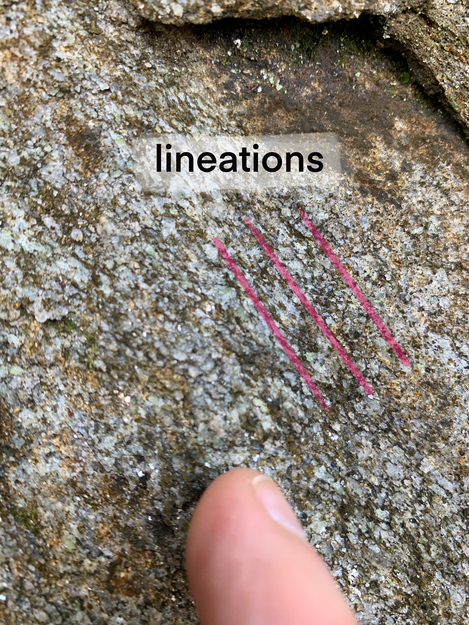 Close up image of the minerals sharing a common orientation from top left to bottom right with three semi-transparent magenta lines showing this orientation. Text reads "lineations".