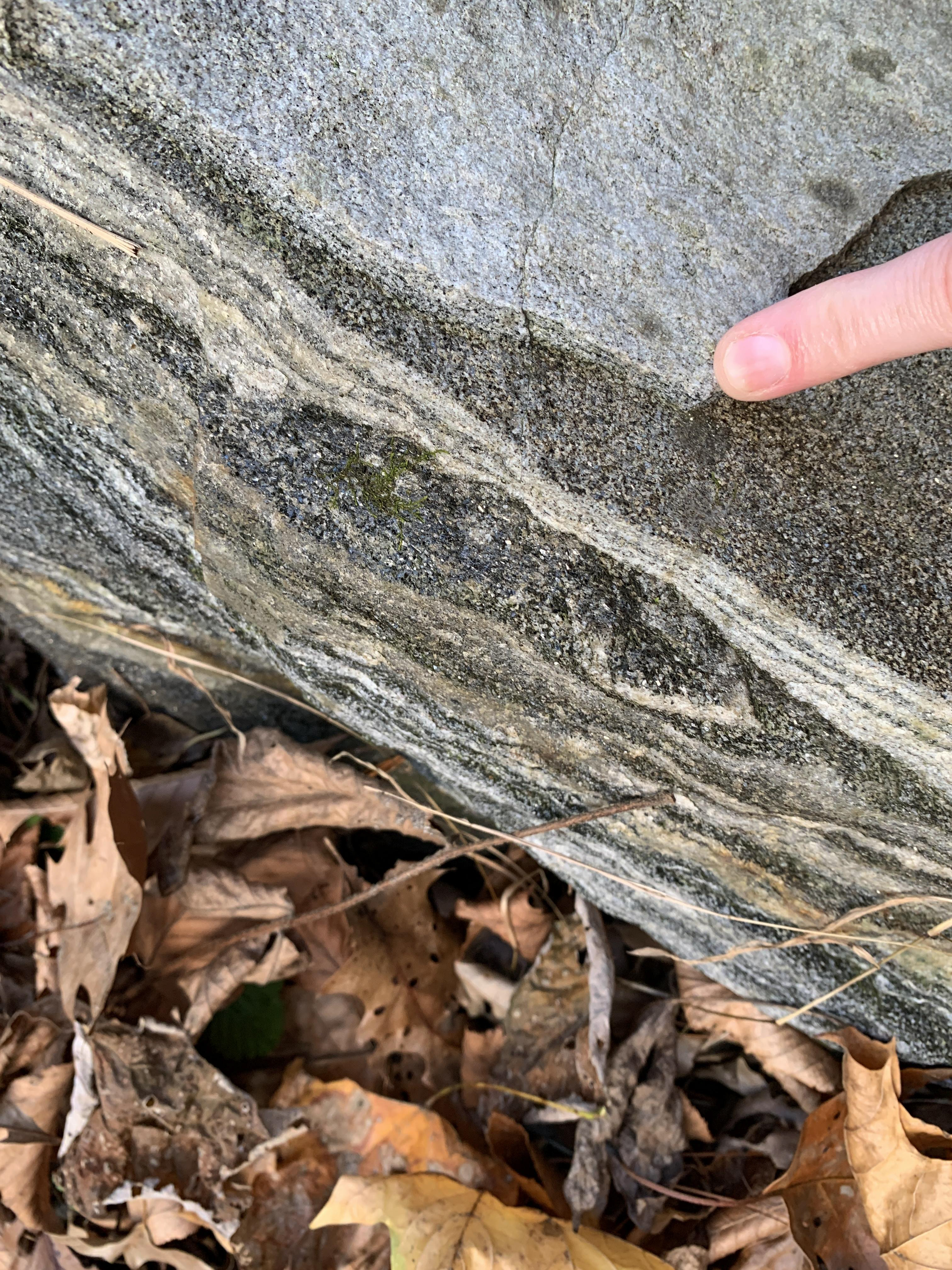 A finger points to the exposed side of a rock showing the layering of light and dark minerals within the rock. This image shows that the dark layers have both light and dark minerals mostly homogeneously within them, however the light layers have a much higher proportion of light-to-dark minerals.