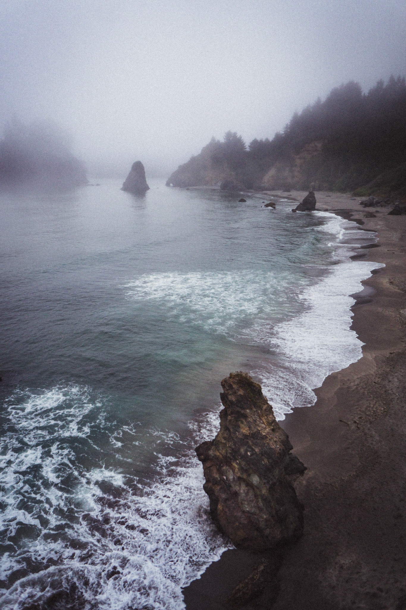 foamshore