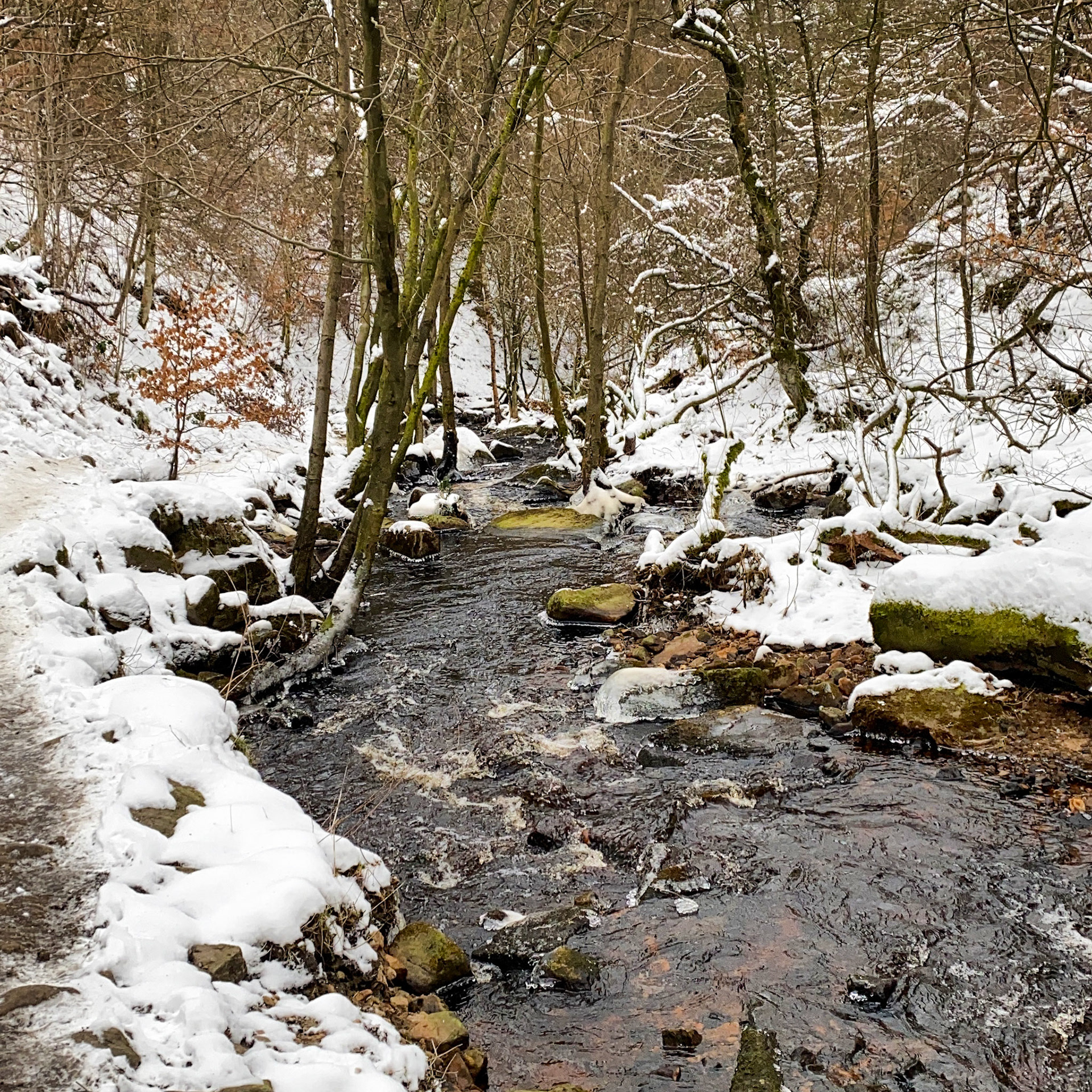 Snow covered Wyoming Brook in the Peak District