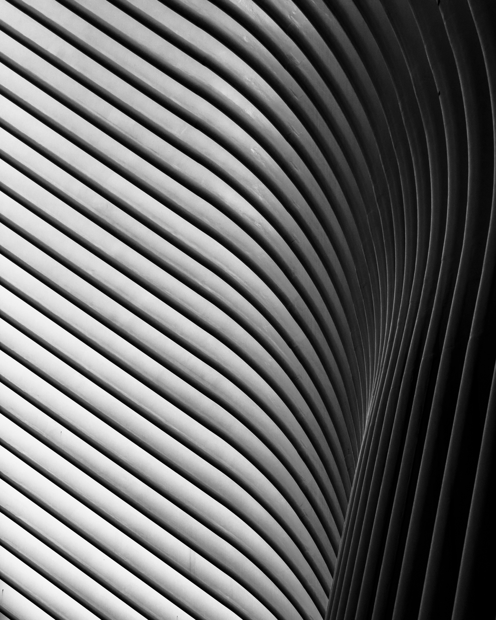 "The Oculus"
