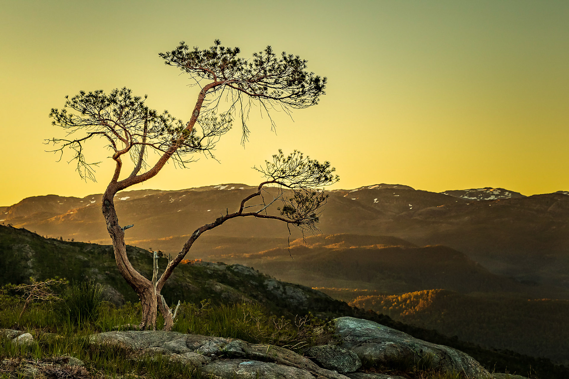 Colours of sunrise in the Norwegian mountains