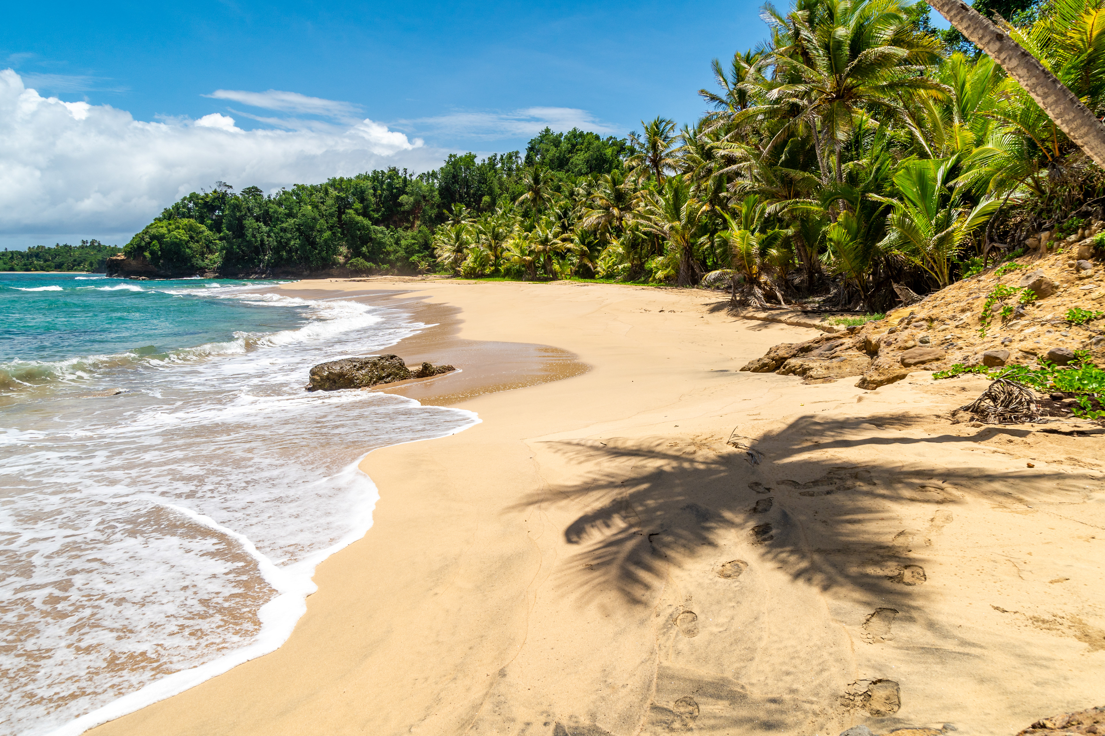 Turtle Point Beach