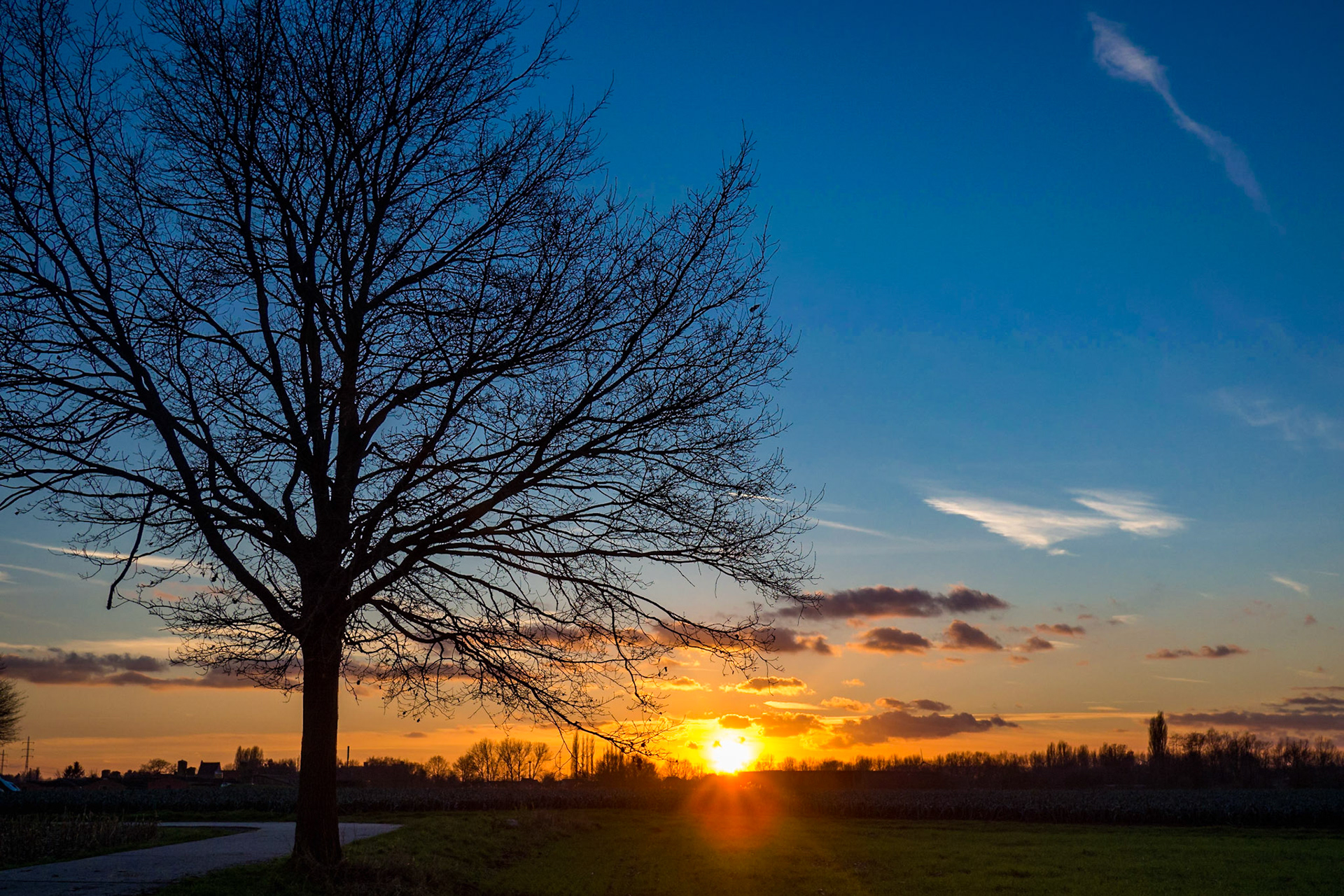 Starburst of the setting sun peeping through the dark silhouettes