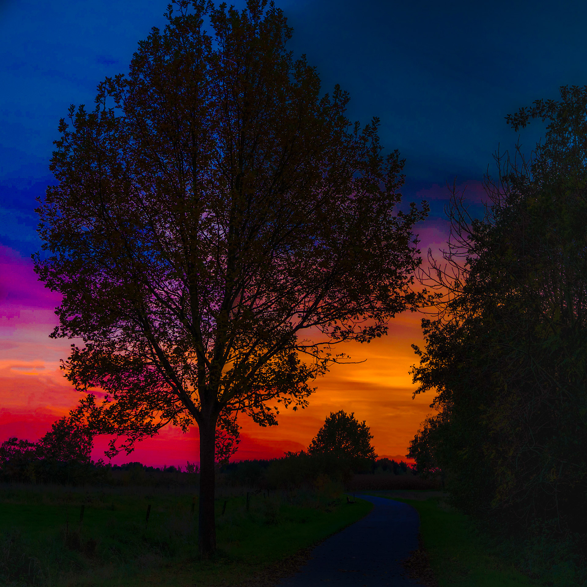 Silhouettes against the evening sky III