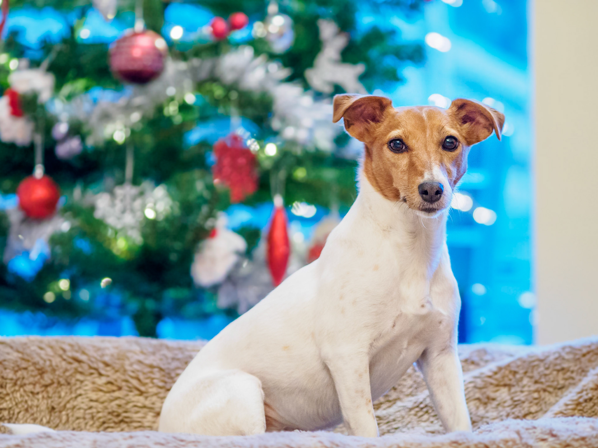 The gift that keeps on giving