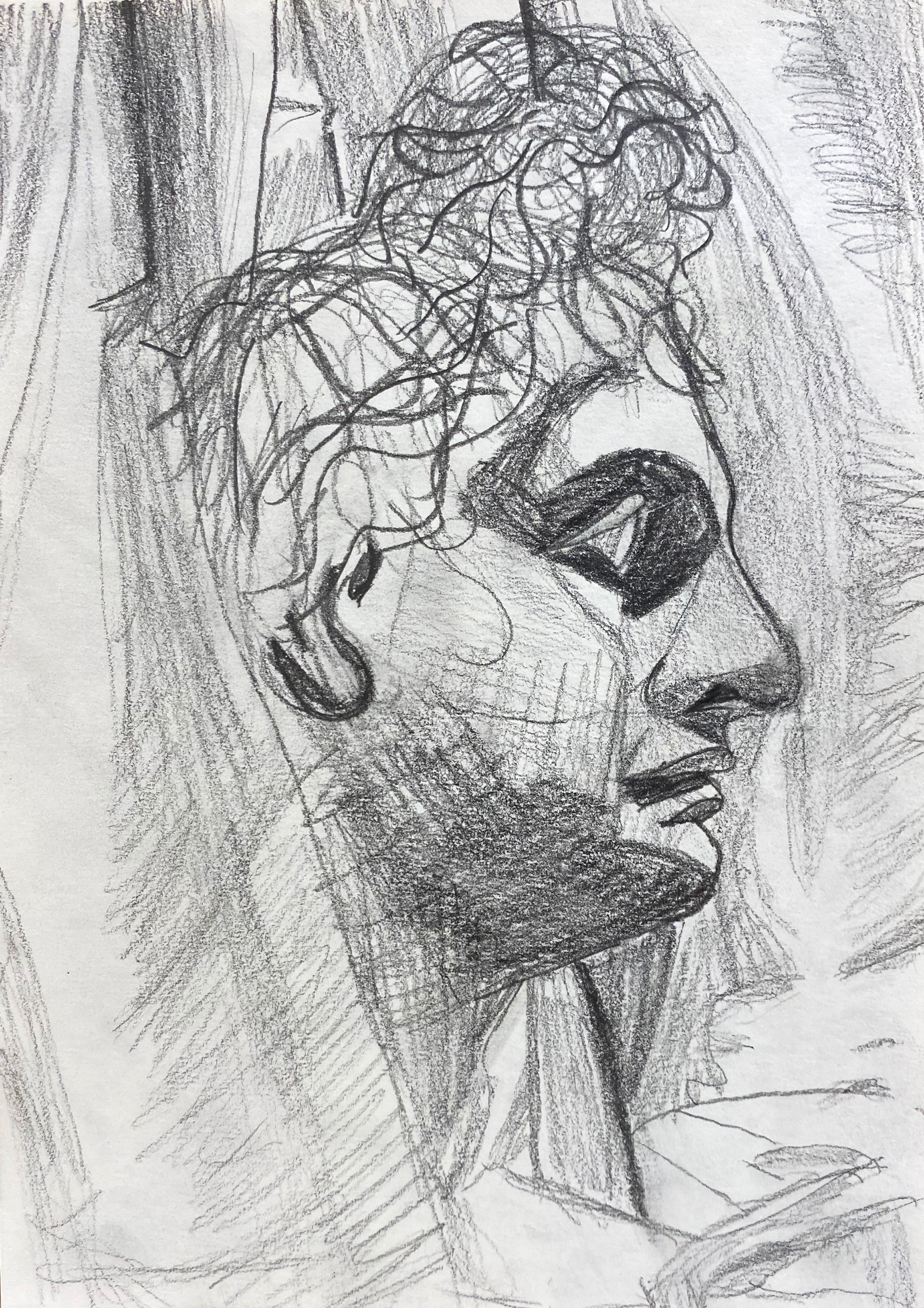 Stef Reyns