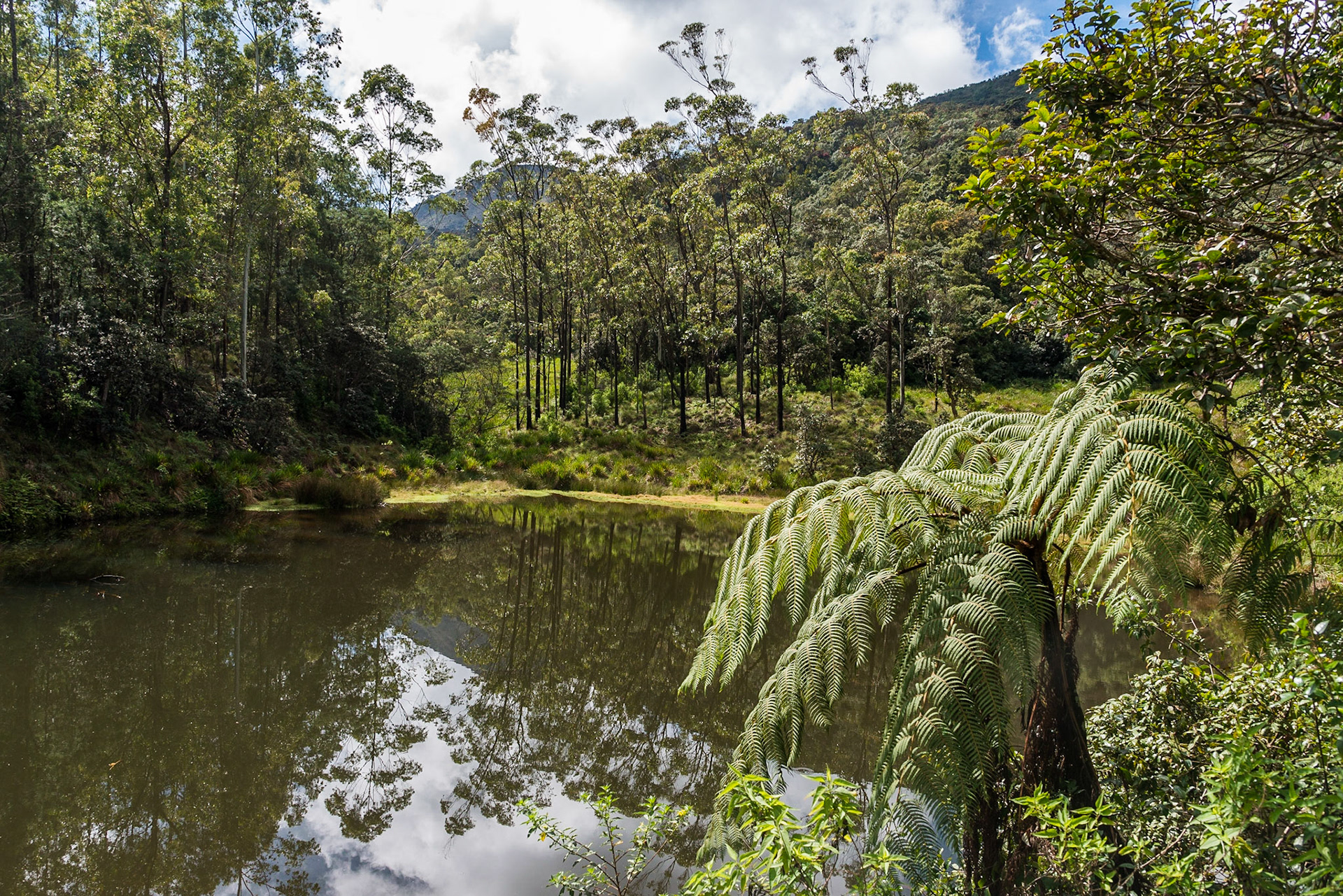 Sri Lanka, Horton Plains