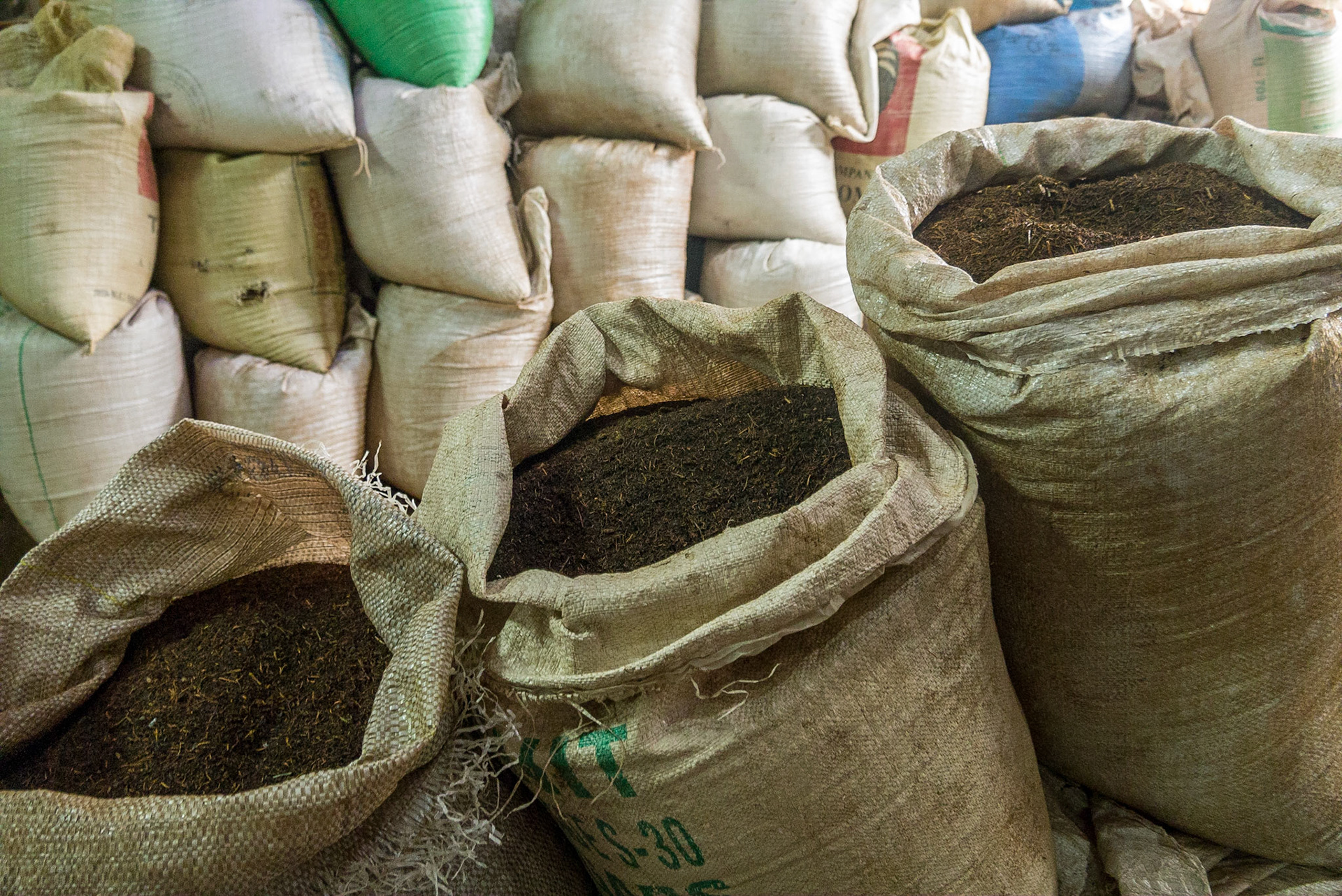 Sri Lanka, Mackwoods Tea Estate