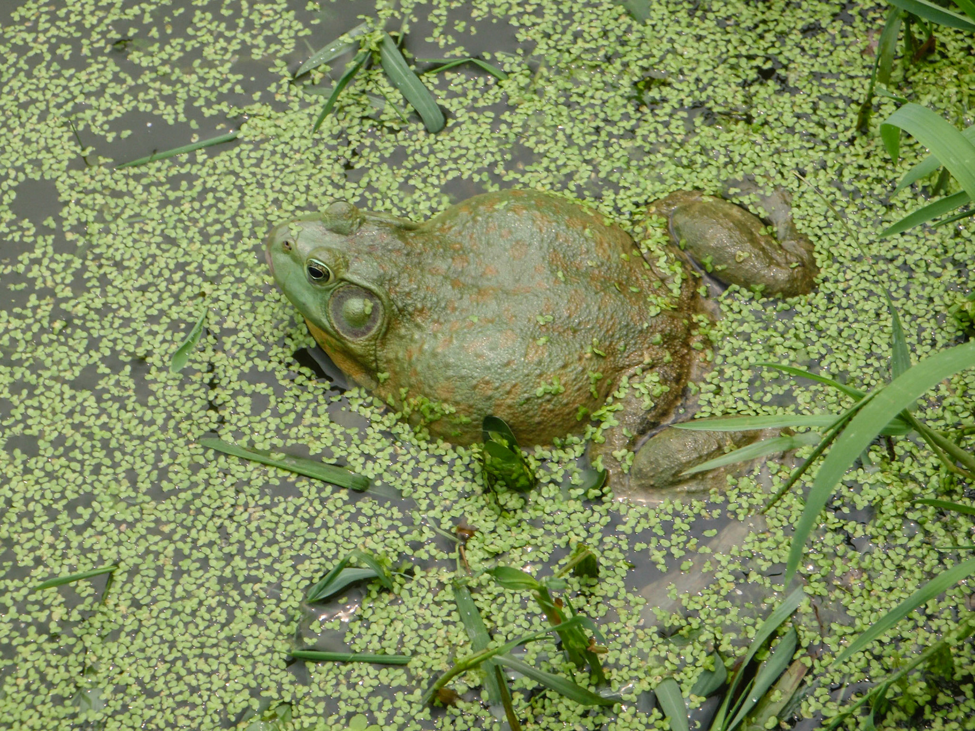 China, South Sicnuan  Province,