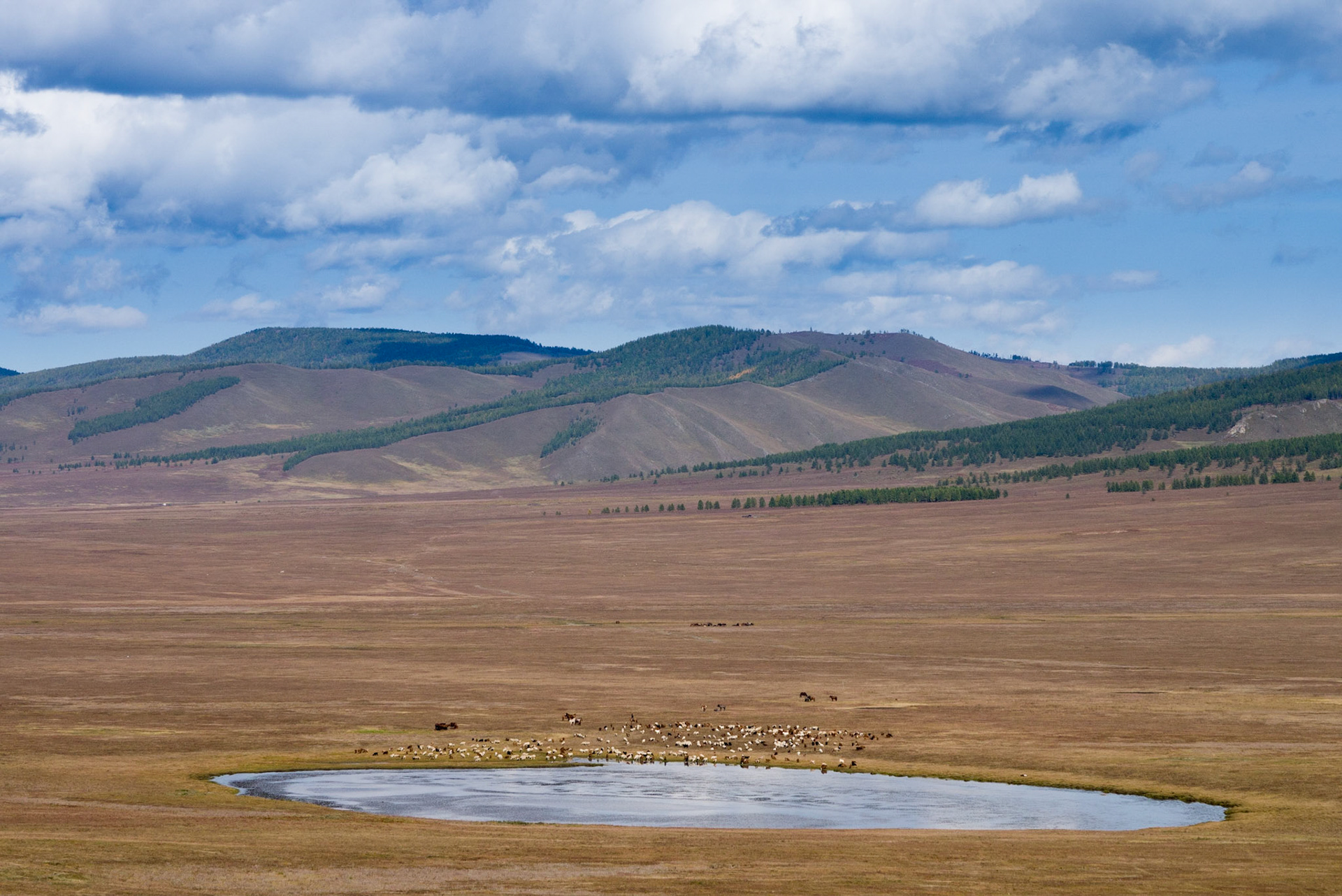 Mongolia, photos from a bicycle tour with Compass Rose Expeditions