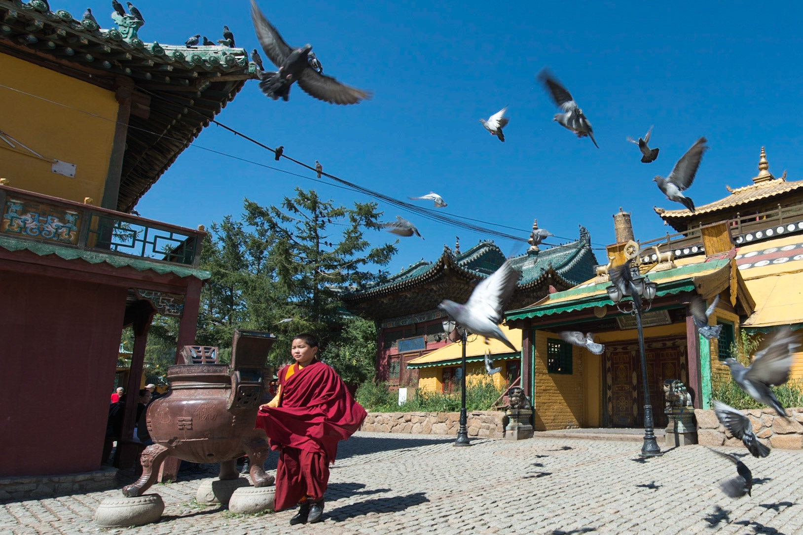 Mongolia, photos from a bicycle tour with Compass Rose Expeditions