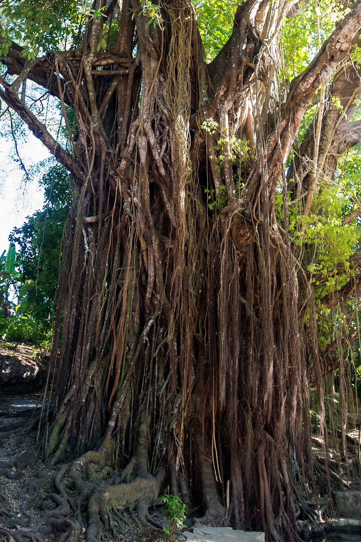 The Philippines, Siquijor Island