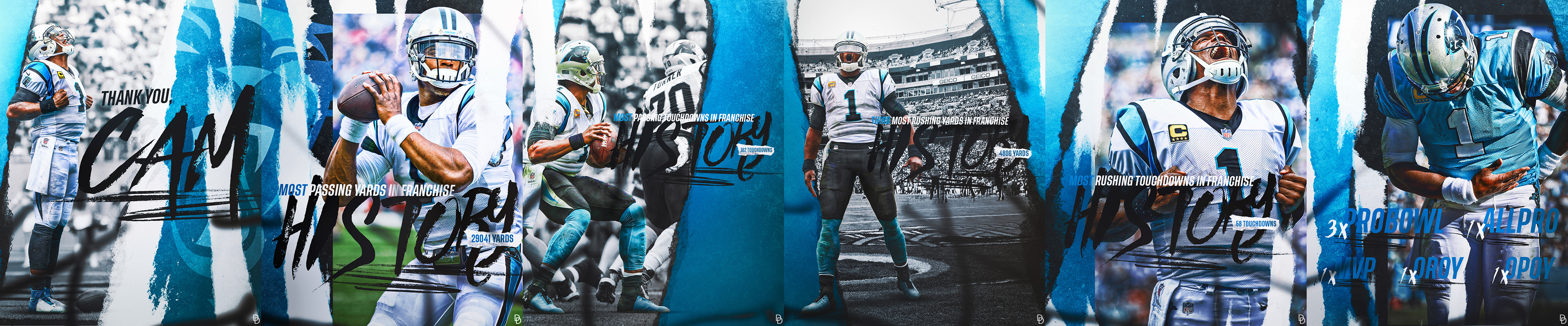Cam Newton - Career Graphic