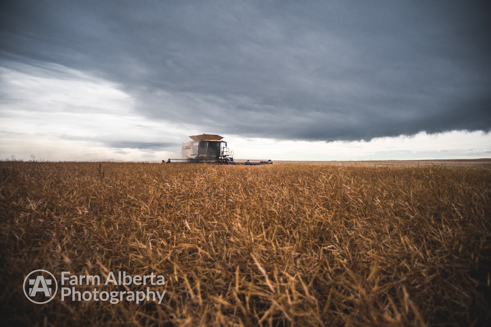 That better not be a rain cloud
