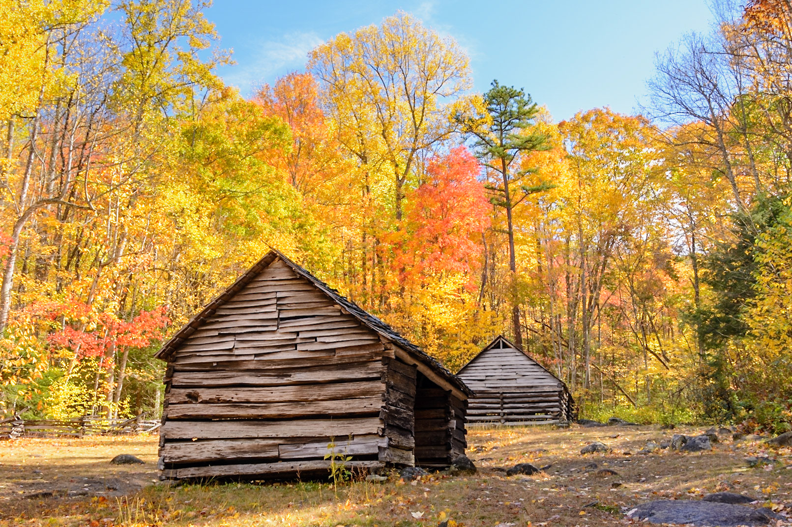 2015 Alex Cole Cabin in November - GSM