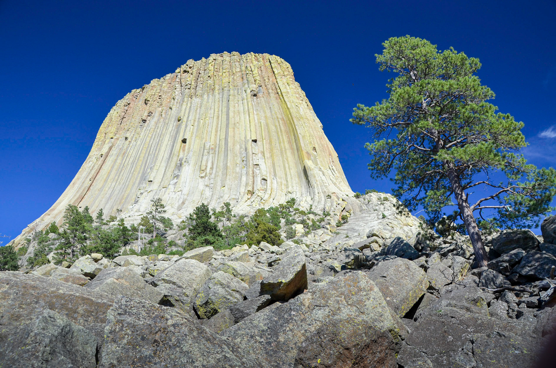 View looking up at Devils Tower above rock boulders with tree in foreground