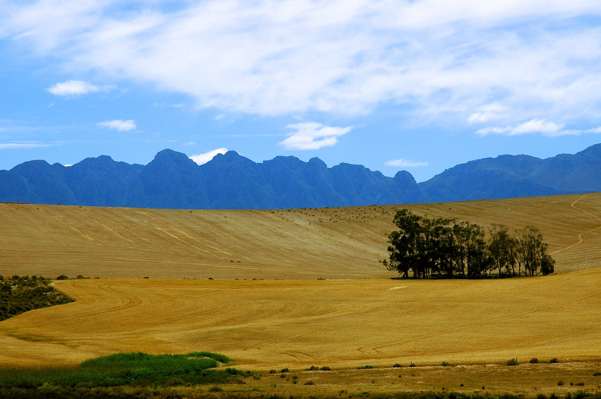 View from the Garden Route Western Cape, South Africa
