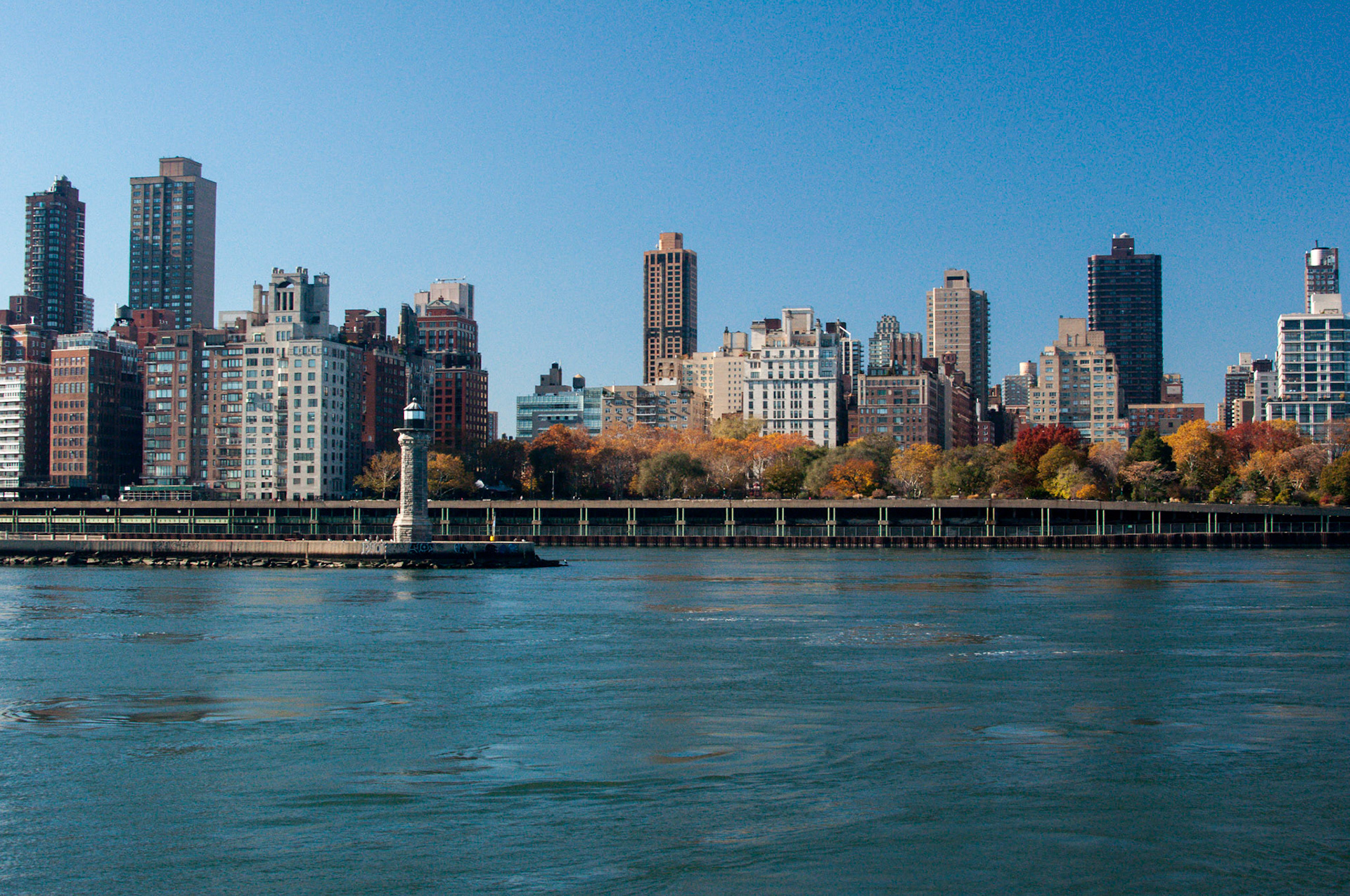The leaves are finally red and orange on a beautiful fall day in New York City.
