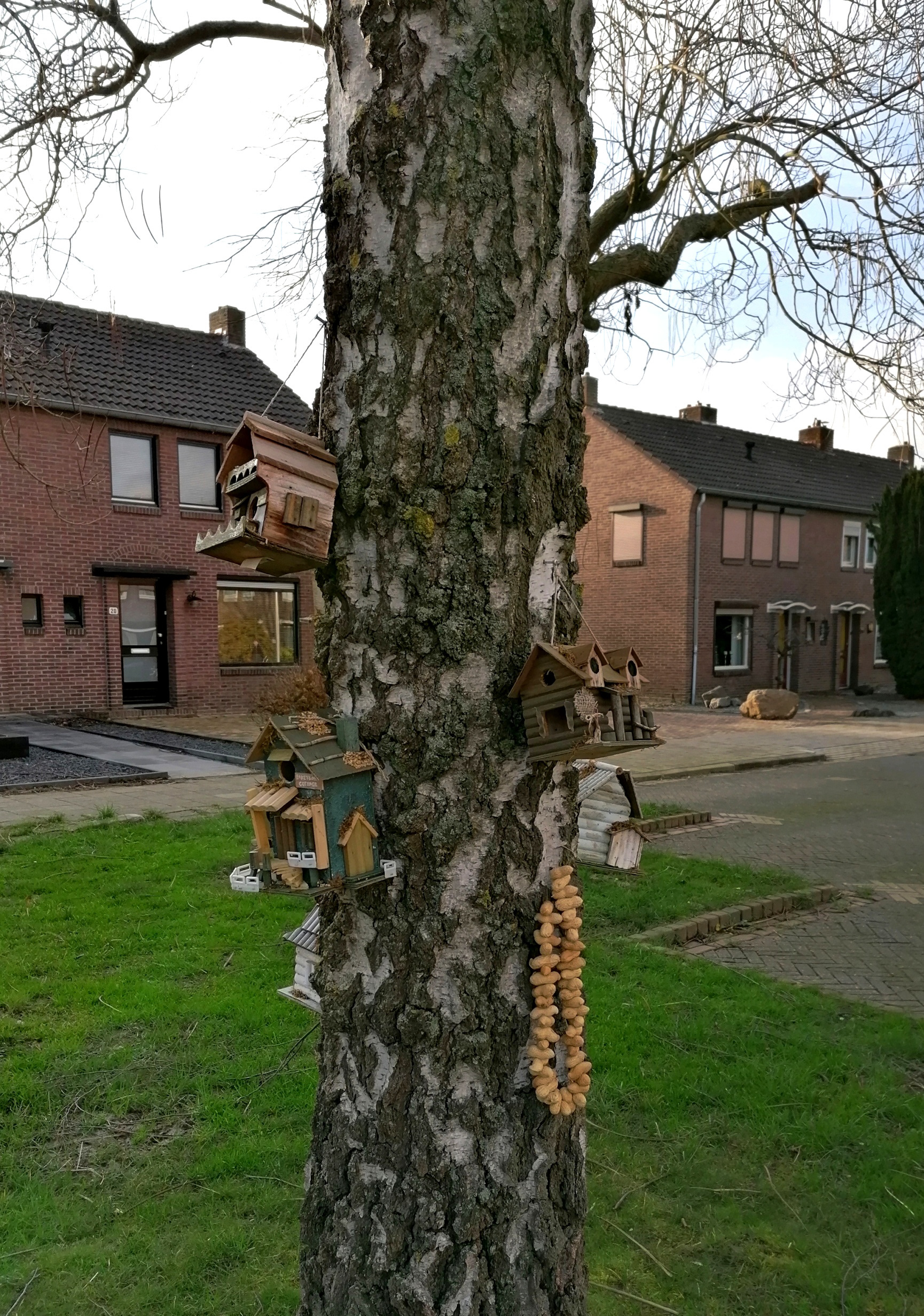 Hans Bervoets