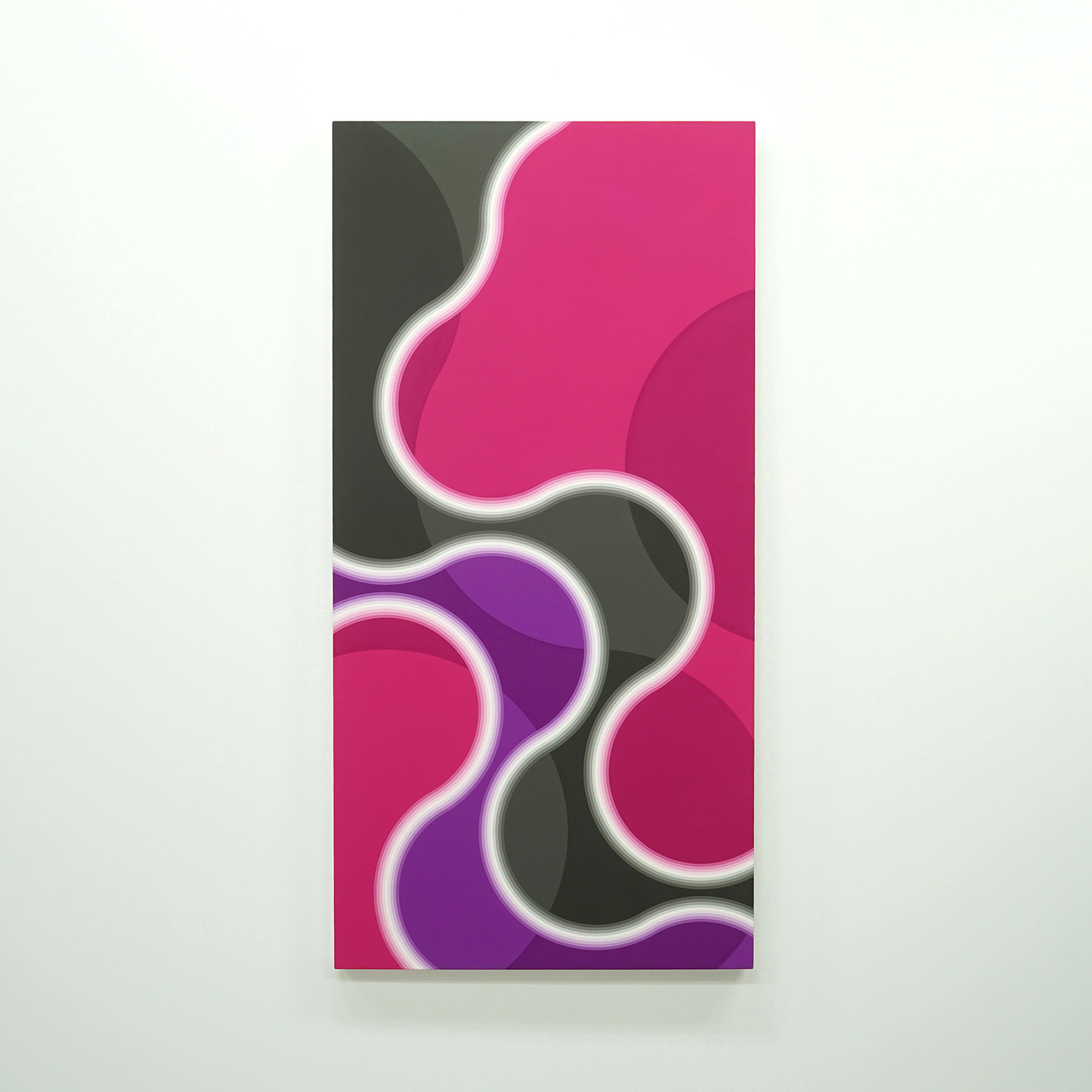 "1103-3" 2011 acrylic gouashe on canvas 120 x 60cm