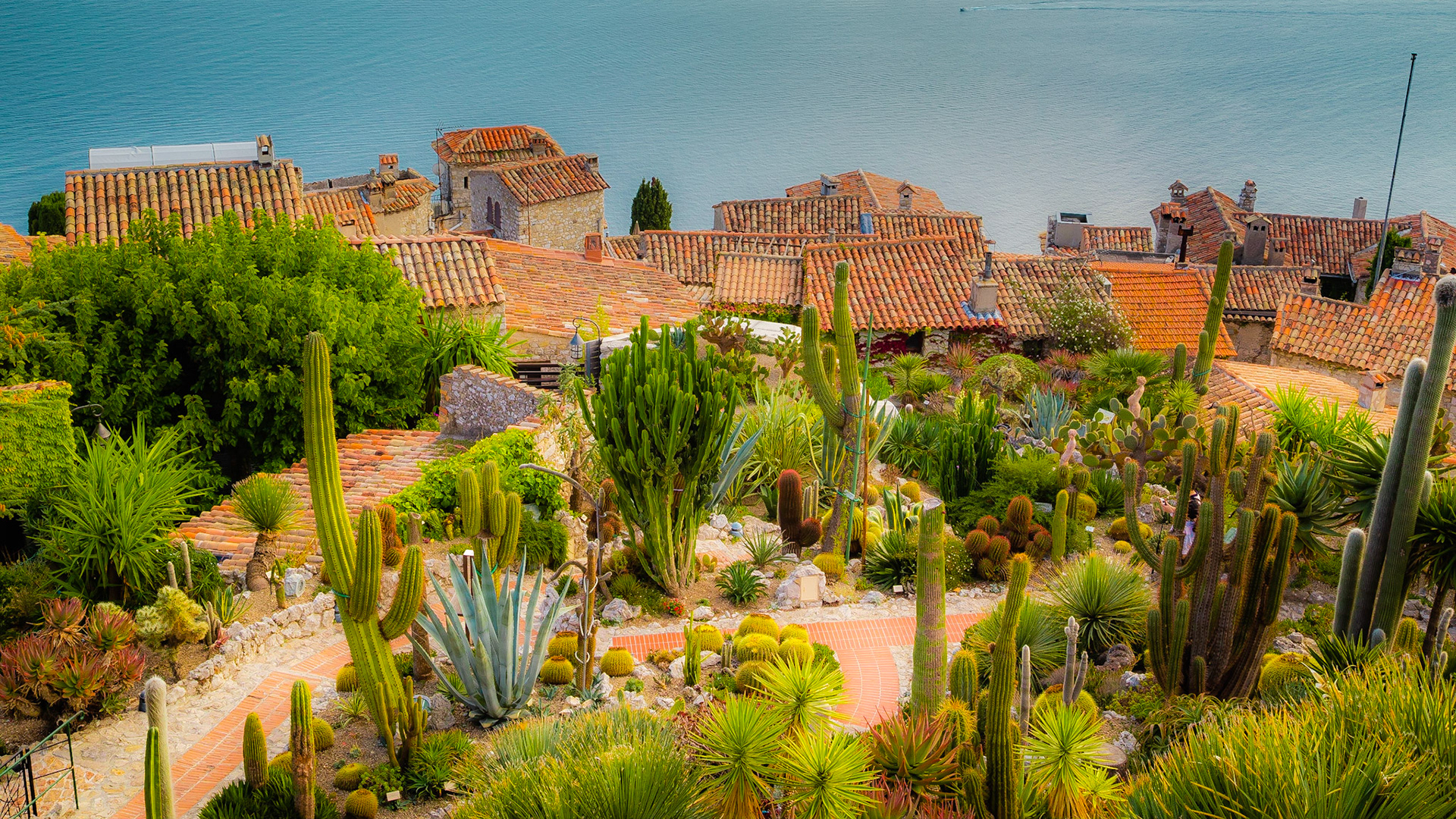 Photography of canada