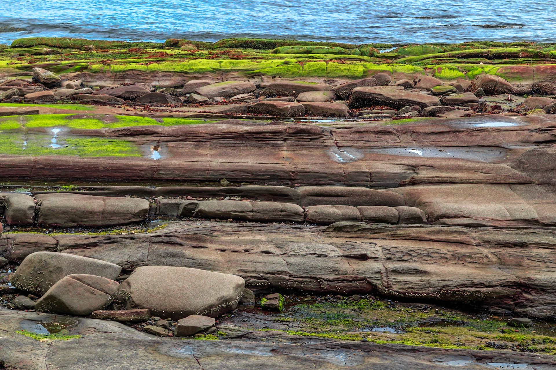 Toby Malek Photography