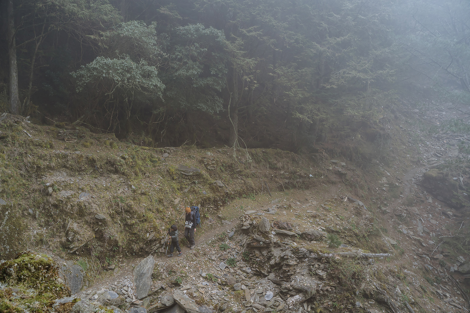 雙龍林道 探訪 巒安堂|DAY. 2|親子登山|家庭生活紀錄|Mountain Climbing