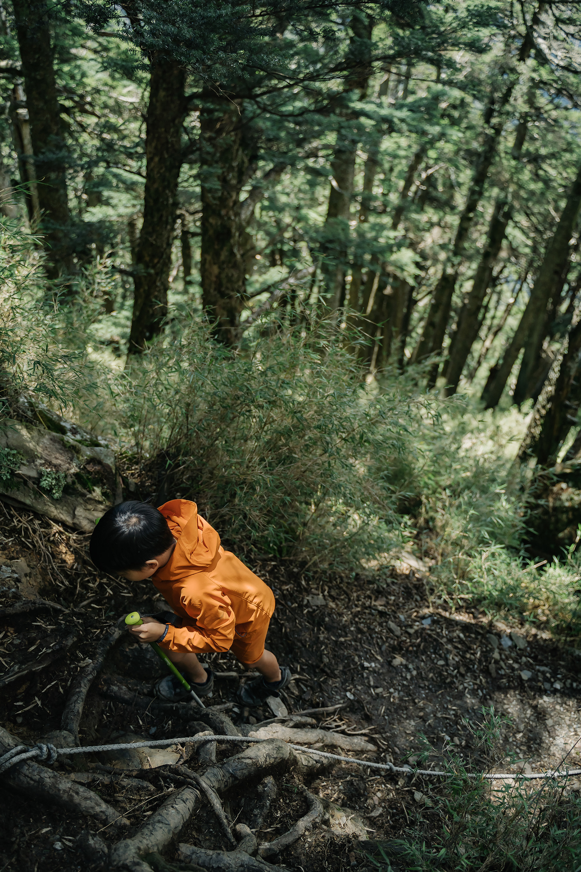 屏風山|Part.2|親子登山|家庭生活紀錄|Mountain Climbing