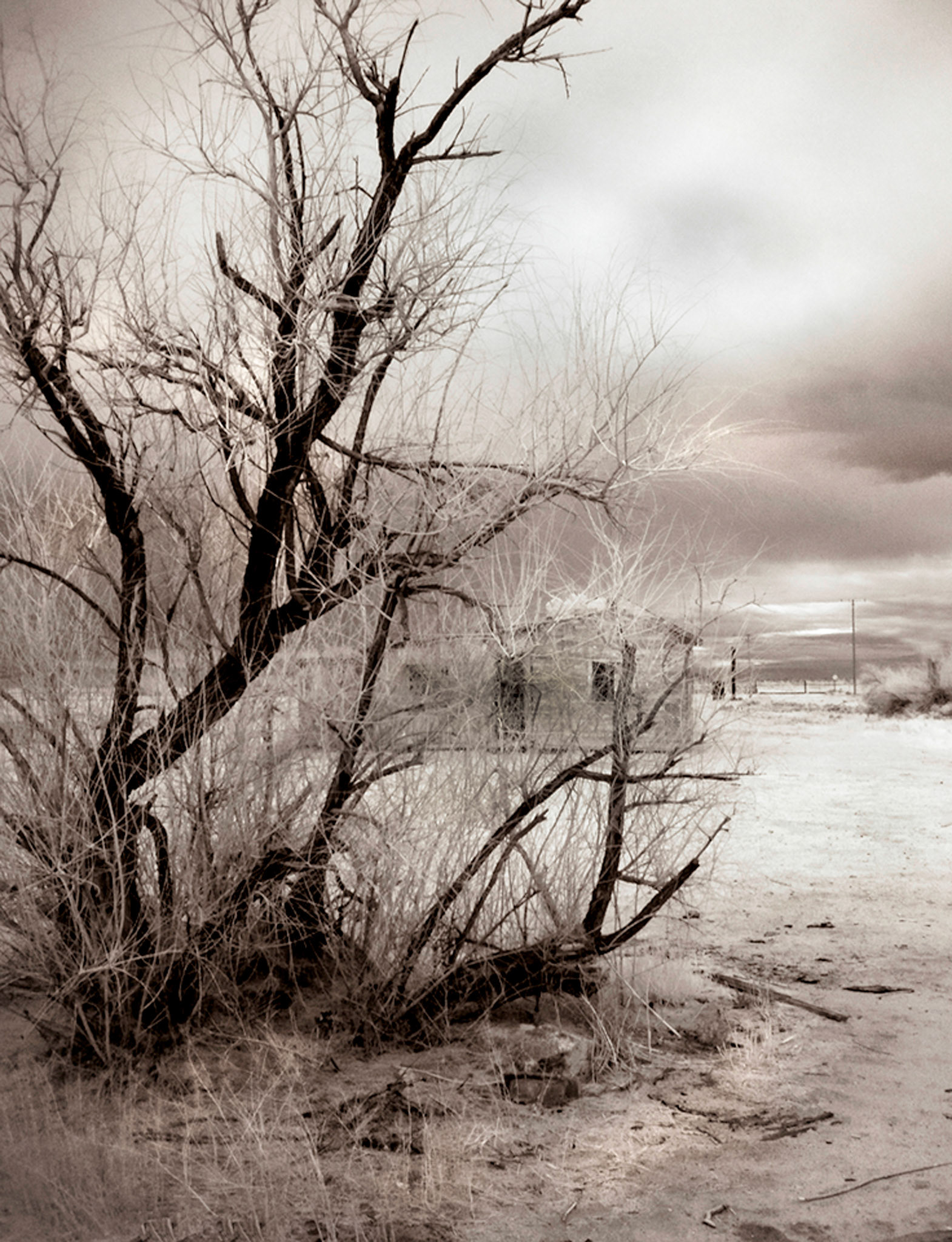 a death in the desert 5