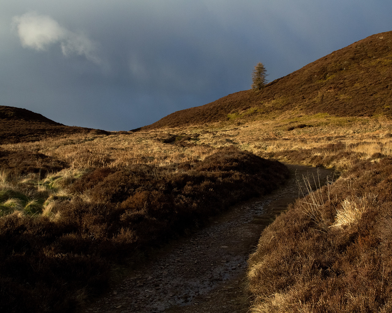 Storm light below Auchterhouse Hill