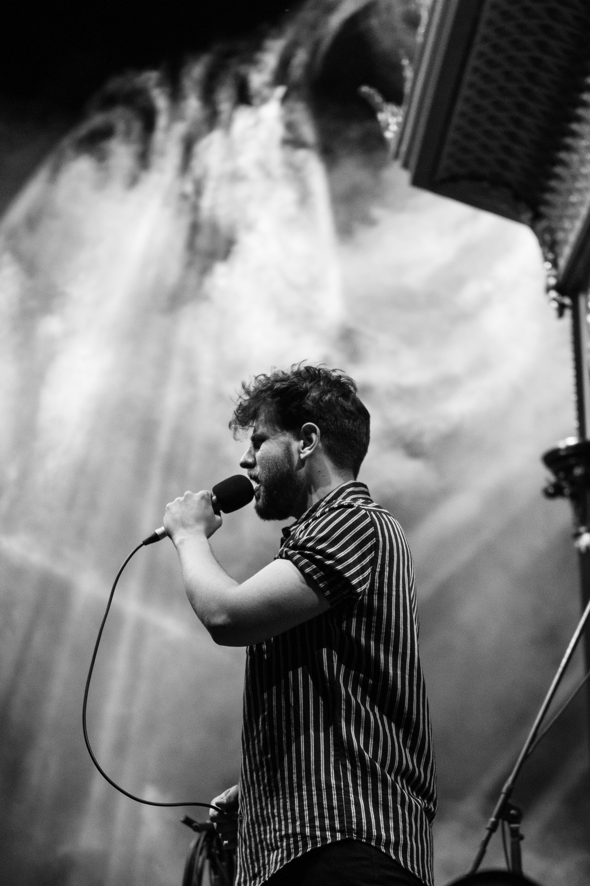 Ollie English | 31.12.19