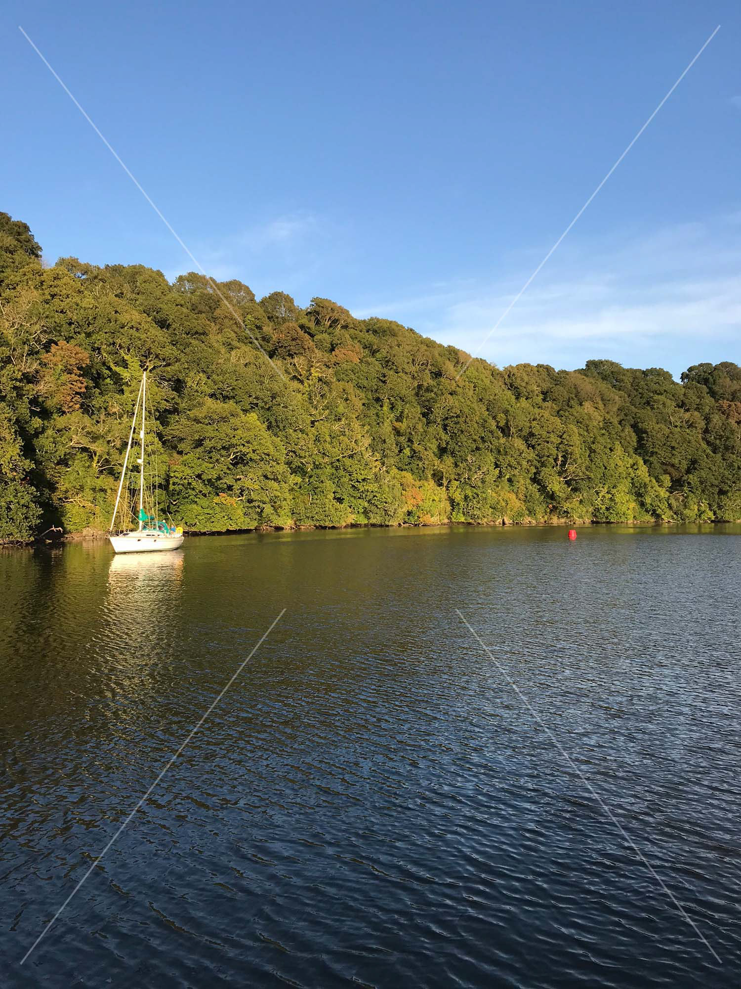 River Dart in Totnes
