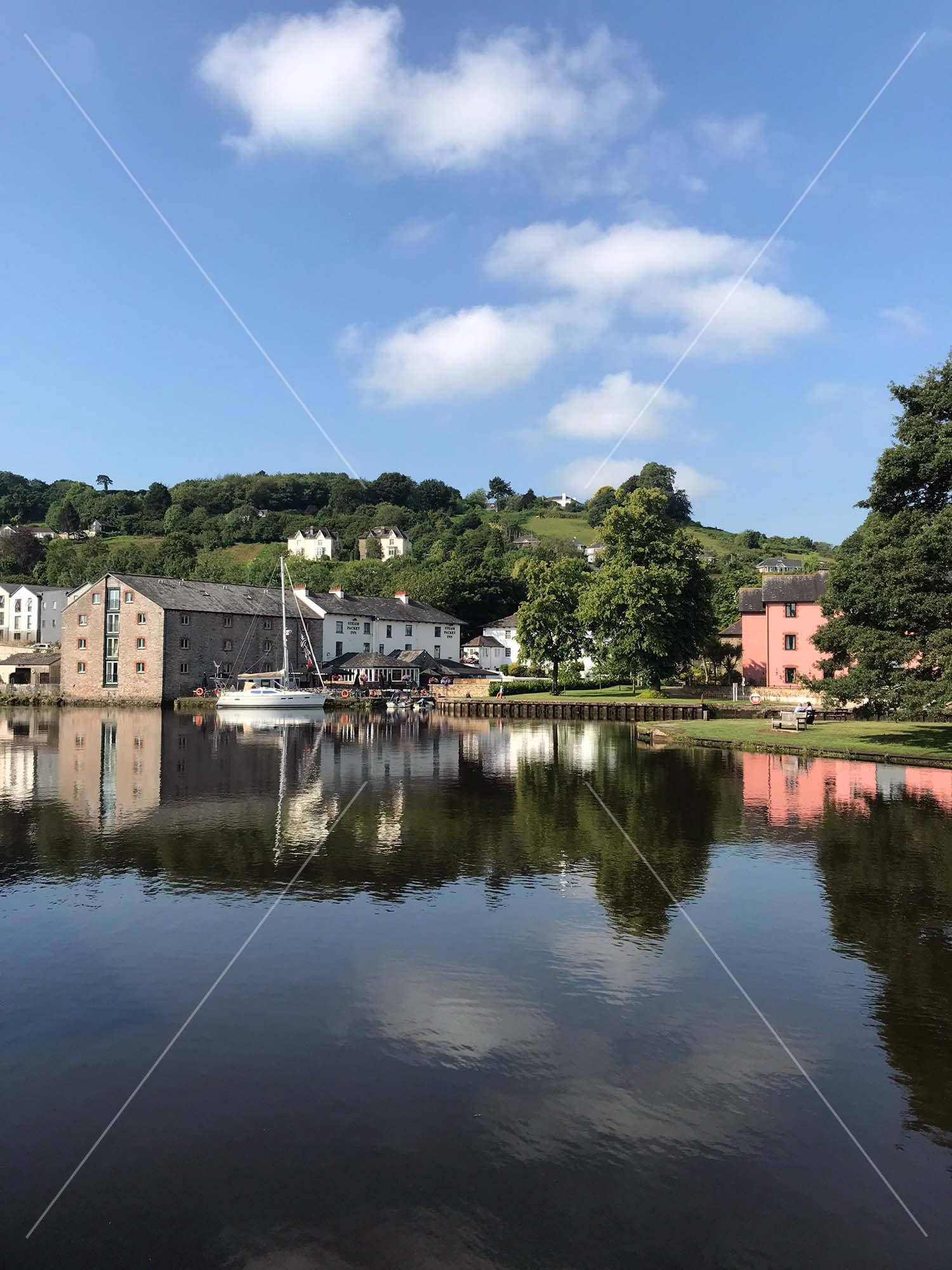 River Dart in Totnes