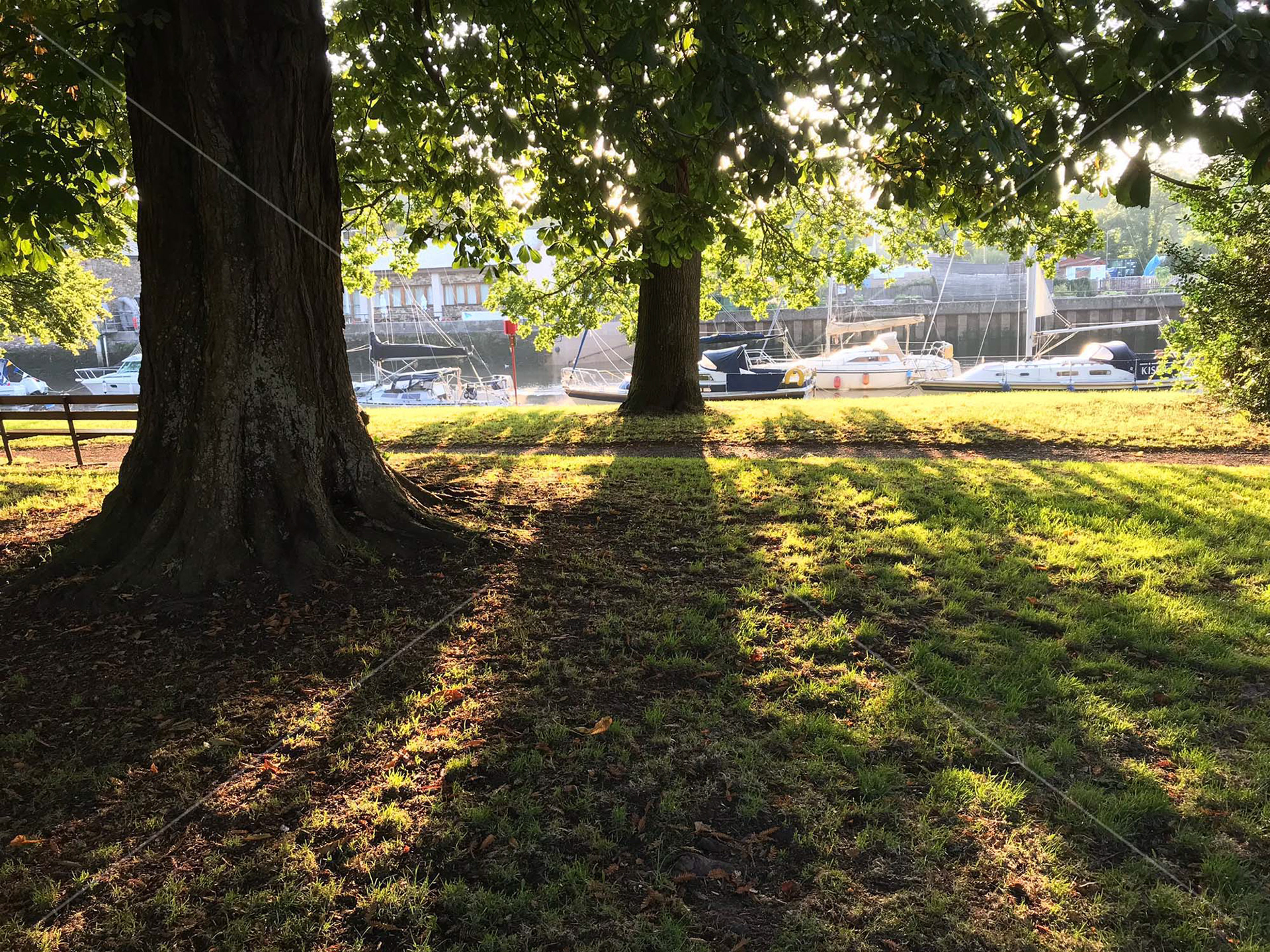Vire Island in Totnes