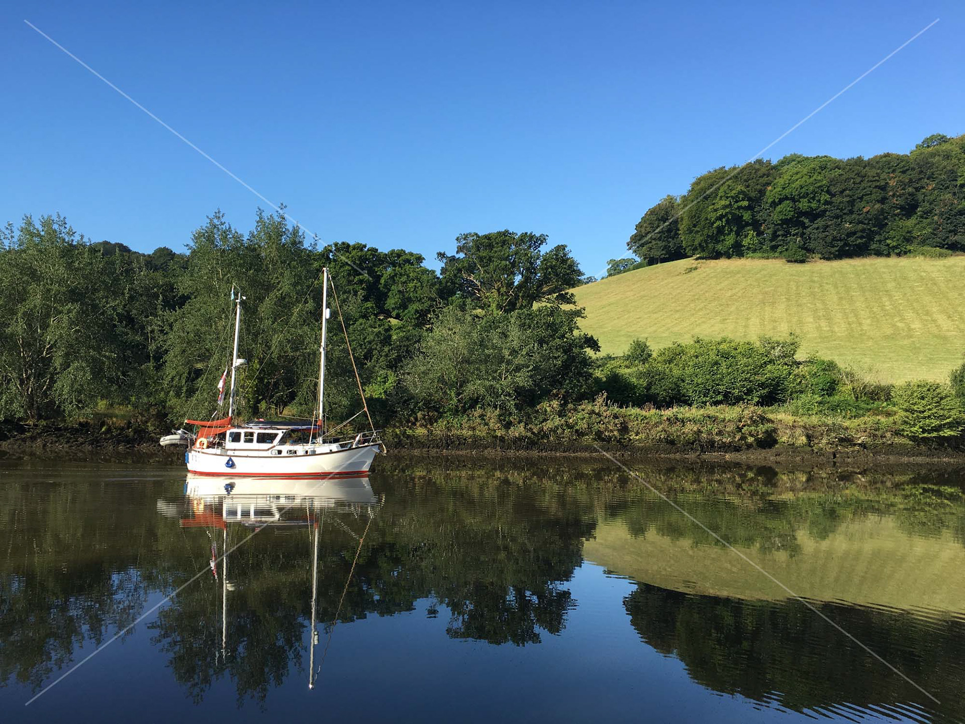 River Dart in Totnes